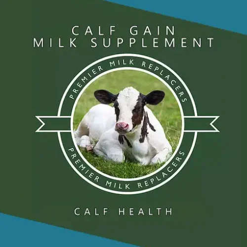 calf_gain_milk_supplement