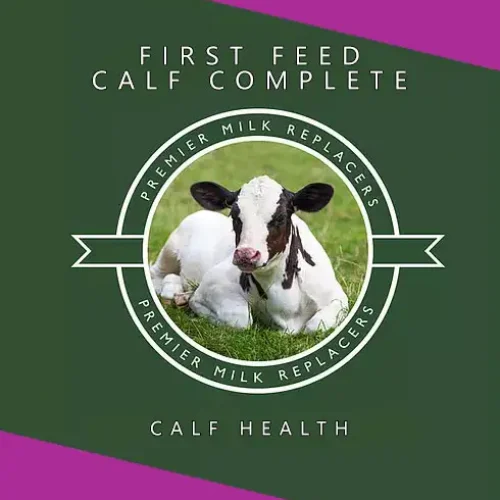 first_feed_calf_complete