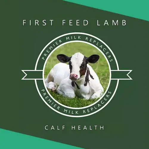 first_feed_lamb
